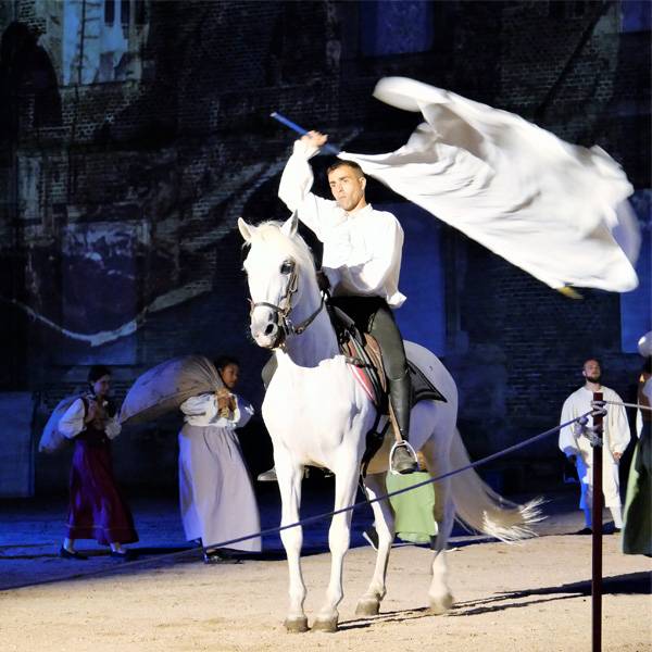 PLEINS FEUX SUR LE SPECTACLE ESTIVAL DE LAPALISSE