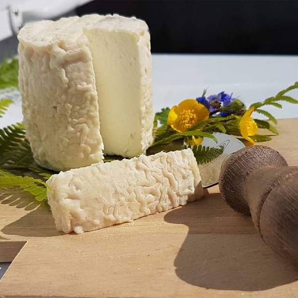 VENTE DIRECTE DE FROMAGES DE CHÈVRES BIENVENUE À LA FERME DES NOËS !