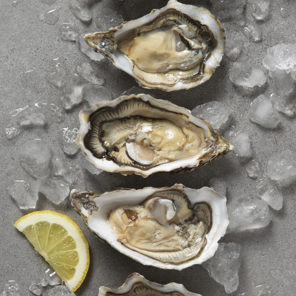 Comitefetesnoailly 1