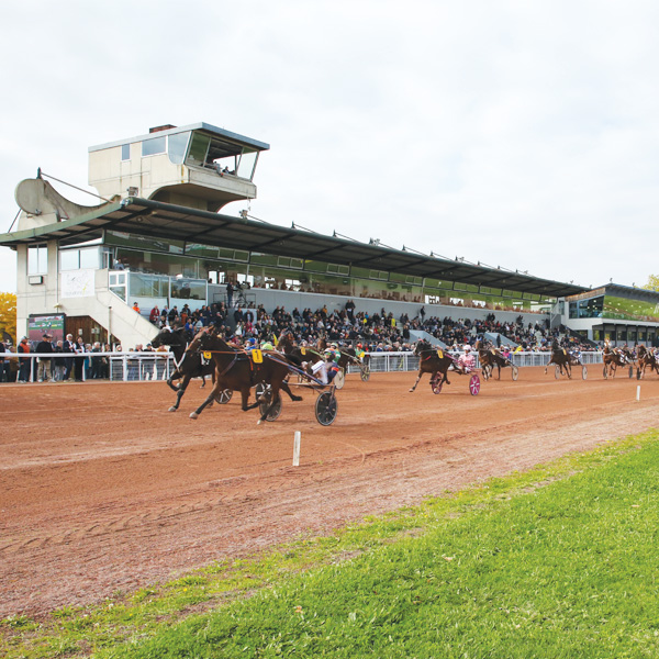 Hippodromefeurs 415